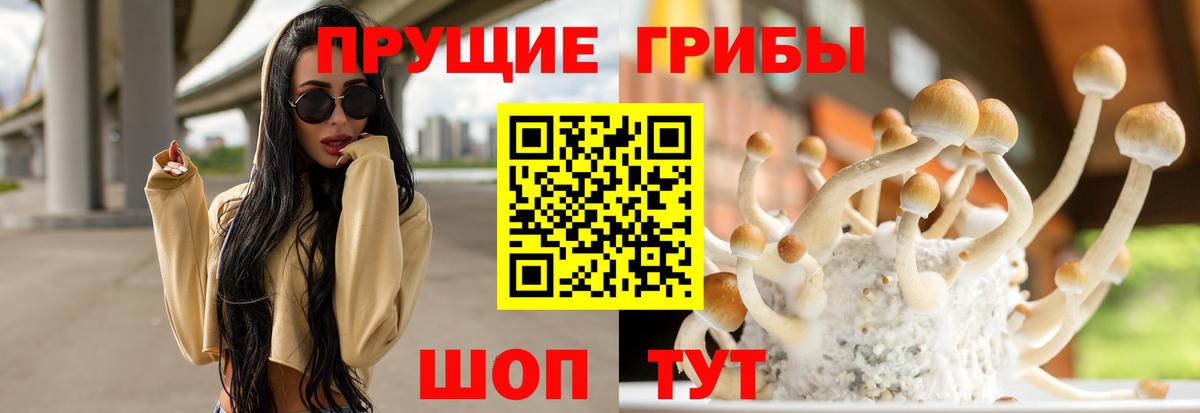 Псилоцибиновые грибы мицелий  Вход с VPN  Мыски 